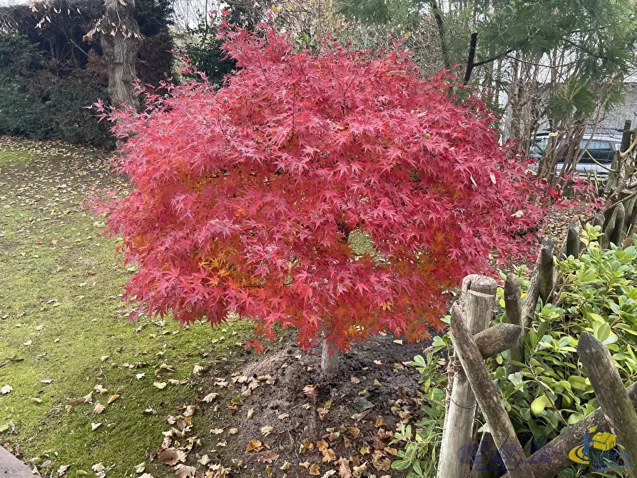 Immagine 58 di Villa in vendita  in Via Fontana Anna a Traversetolo