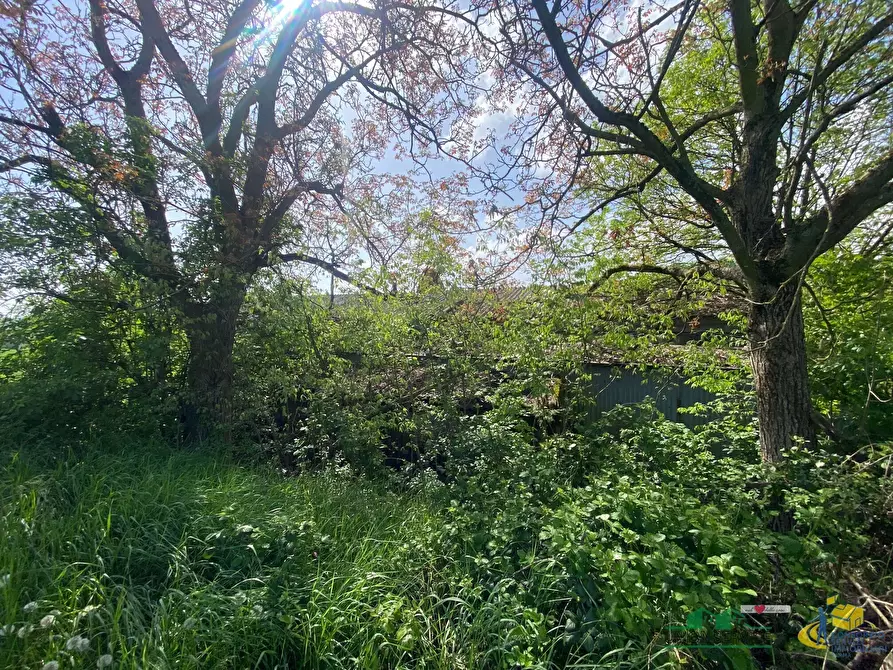 Immagine 34 di Casa indipendente in vendita  in Strada per Varano Marchesi 37 a Medesano