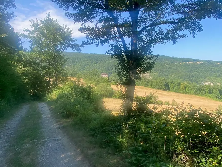 Immagine 3 di Terreno agricolo in vendita  in Località Molinelli 59 a Berceto