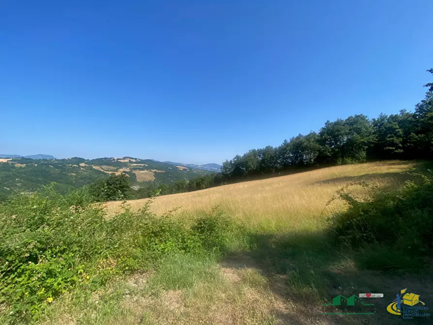 Immagine 6 di Terreno agricolo in vendita  in Località Molinelli 59 a Berceto