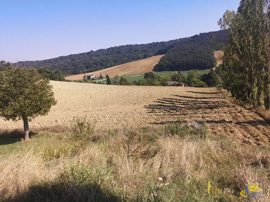 Immagine 3 di Terreno agricolo in vendita  in Strada delle Vigne 3 a Sala Baganza
