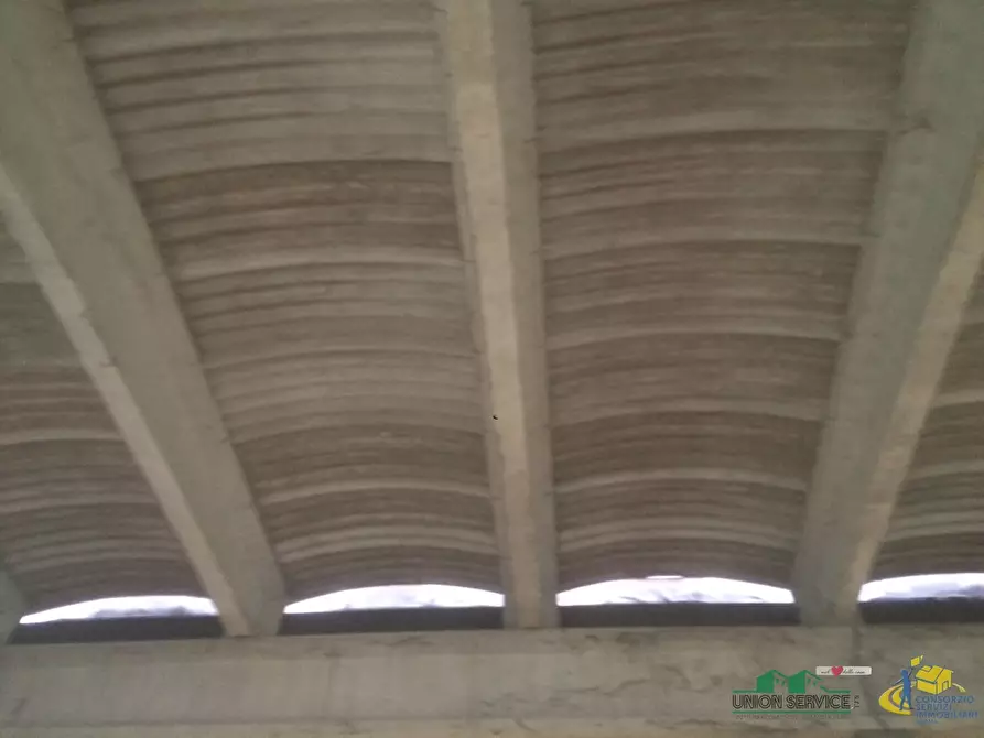 Immagine 5 di Terreno agricolo in vendita  in Noceto a Noceto