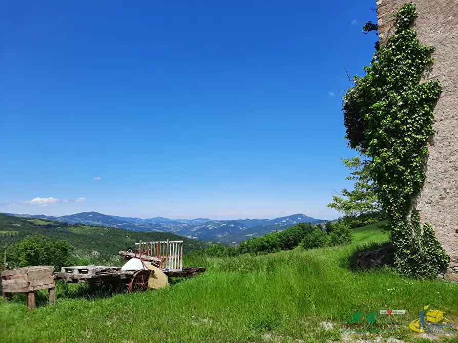 Immagine 35 di Terreno agricolo in vendita  in Località Molinelli 59 a Berceto
