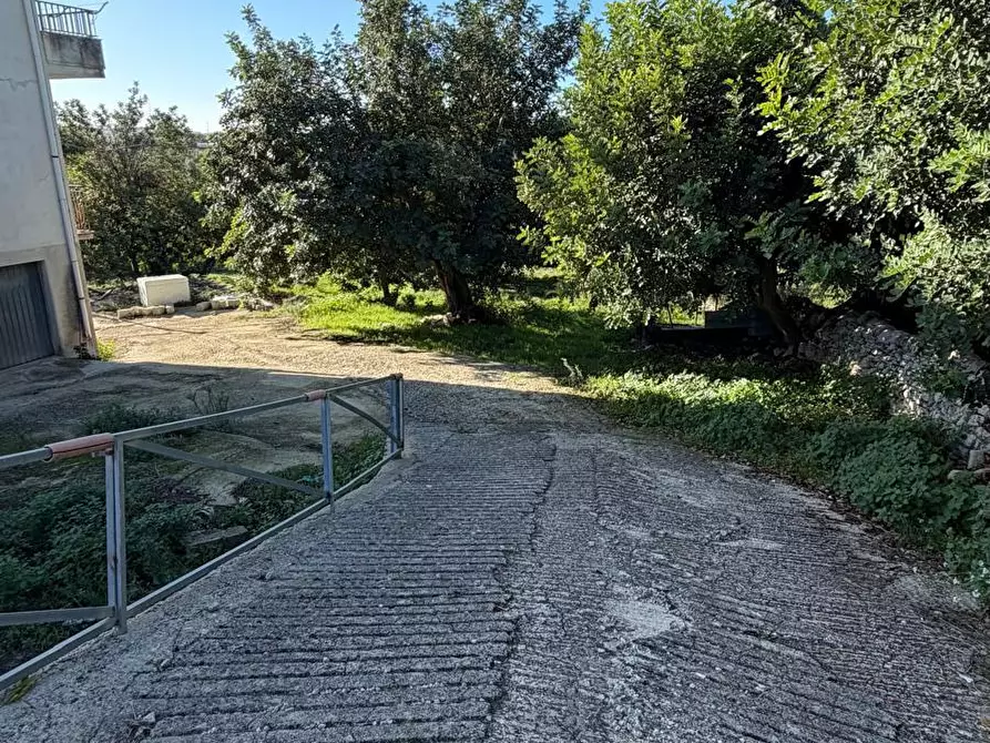 Immagine 33 di Casa bifamiliare in vendita  in Via Dente Crocicchia a Modica