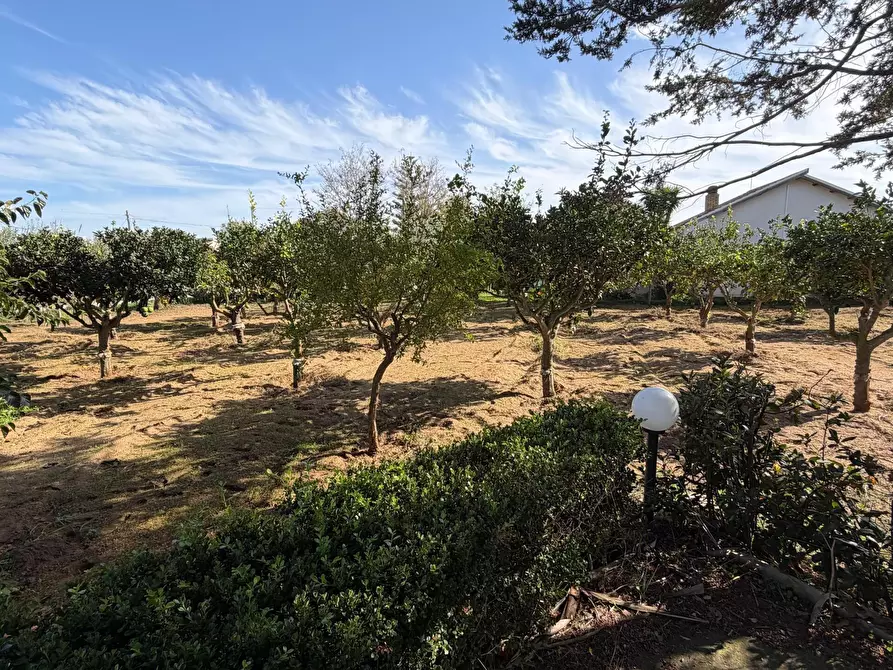 Immagine 12 di Villa in vendita  in Via del Giglio a Ispica