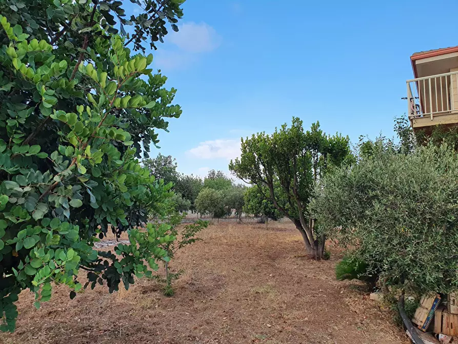 Immagine 31 di Villa in vendita  in Strada Provinciale 40 a Scicli