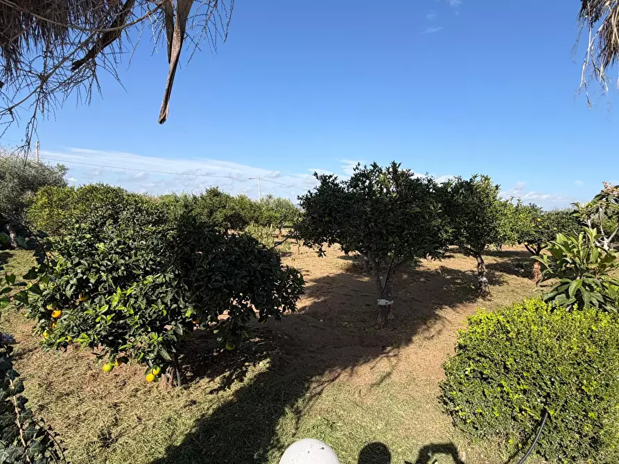 Immagine 7 di Villa in vendita  in Via del Giglio a Ispica