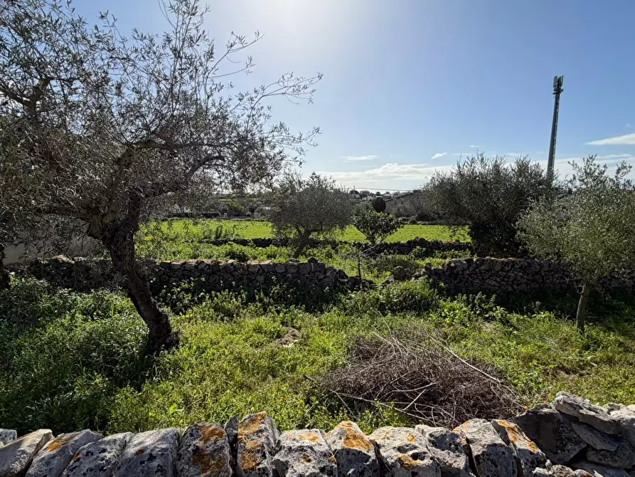 Immagine 7 di Villa in vendita  in Via Vanella 91 a Modica