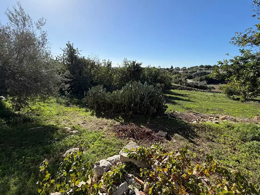 Immagine 30 di Casa bifamiliare in vendita  in Via Dente Crocicchia a Modica