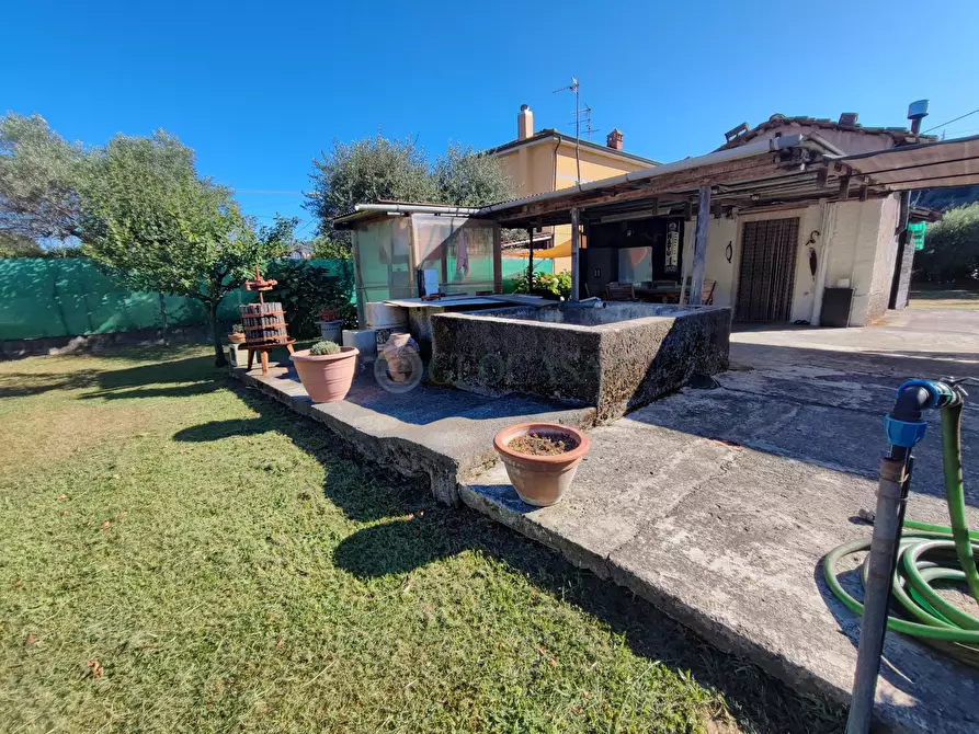 Immagine 3 di Terreno agricolo in vendita  a Arcola