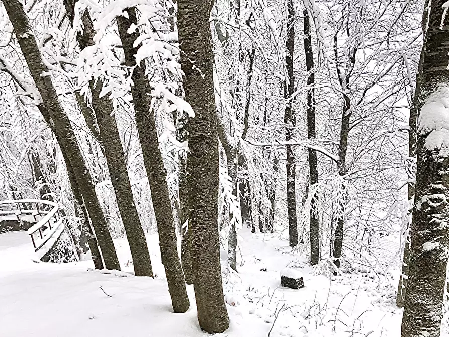 Immagine 9 di Bilocale in vendita  a Lama Mocogno