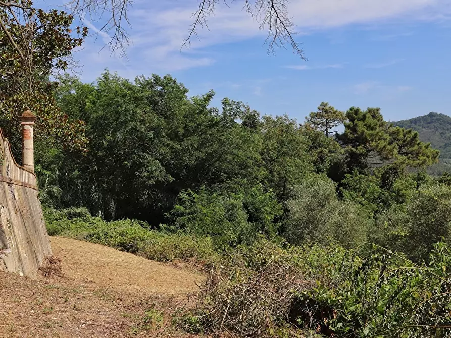 Immagine 33 di Villa in vendita  a Lucca