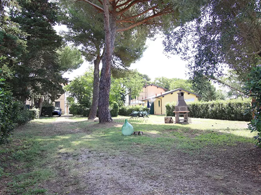 Immagine 20 di Rustico / casale in vendita  in Via Gorizia 39 a Cecina