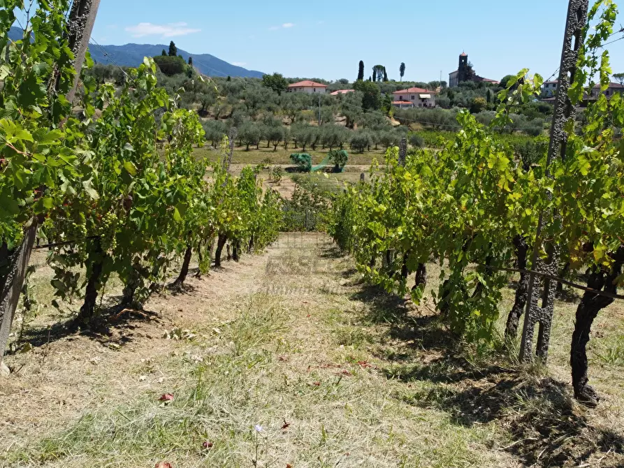 Immagine 52 di Rustico / casale in vendita  in Via di Mammoli 1001 a Lucca