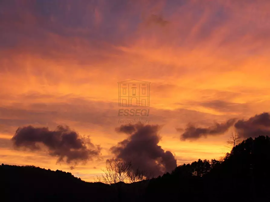 Immagine 62 di Rustico / casale in vendita  in Località Pieve di Cerreto 3 a Borgo A Mozzano