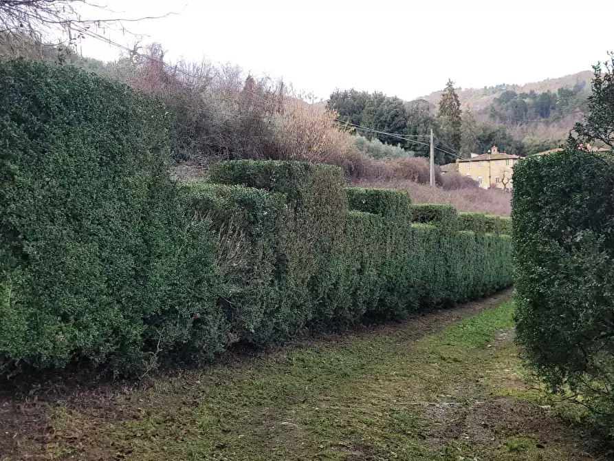 Immagine 37 di Villa in vendita  in via Colli 23 a Pescaglia