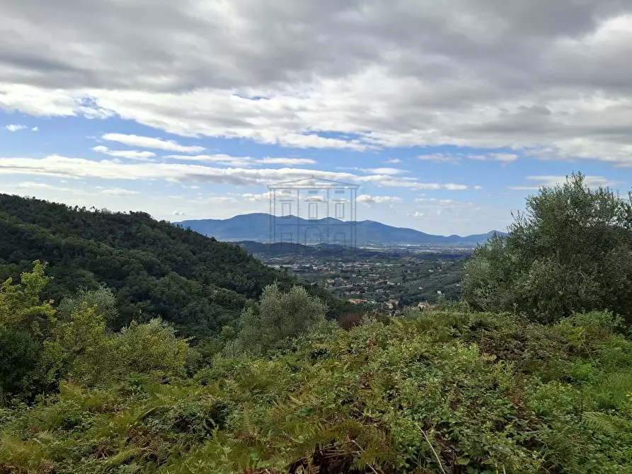 Immagine 5 di Rustico / casale in vendita  in Via Casa Nuova a Pescia