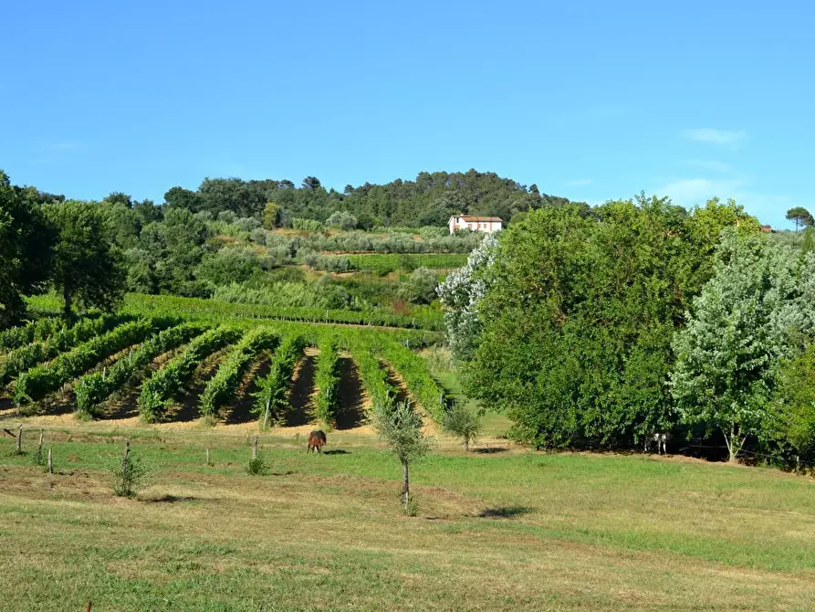 Immagine 13 di Rustico / casale in vendita  in via di san martino a Lucca
