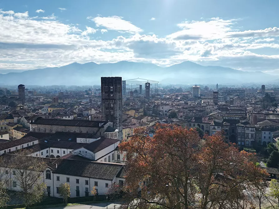 Immagine 19 di Villa in vendita  a Lucca