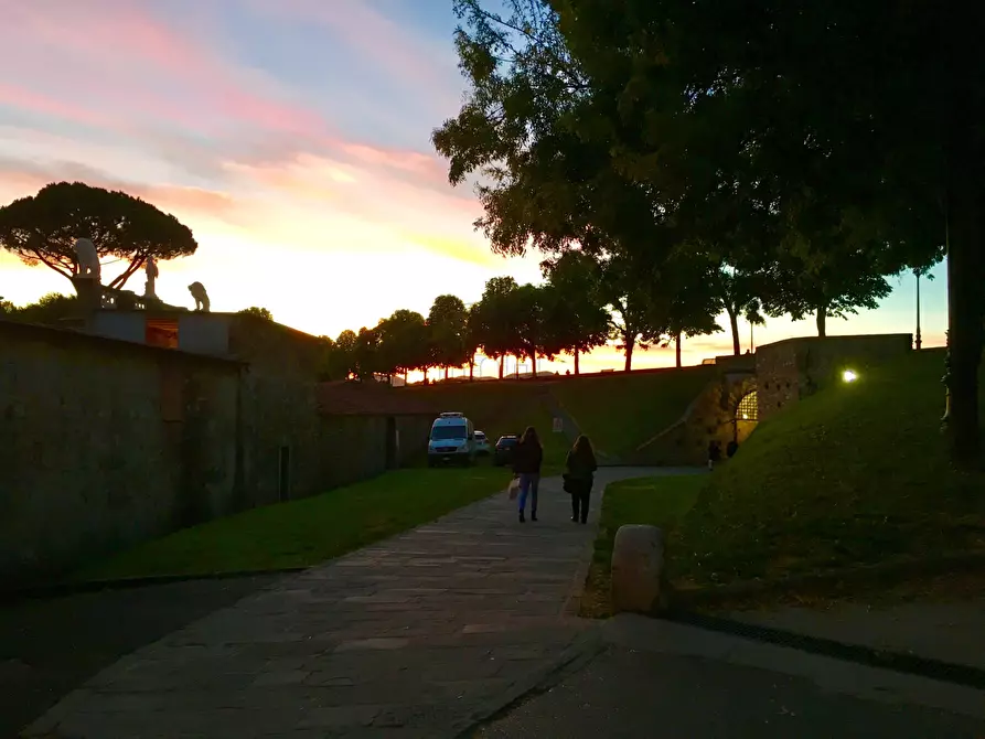 Immagine 8 di Locale commerciale in affitto  a Lucca