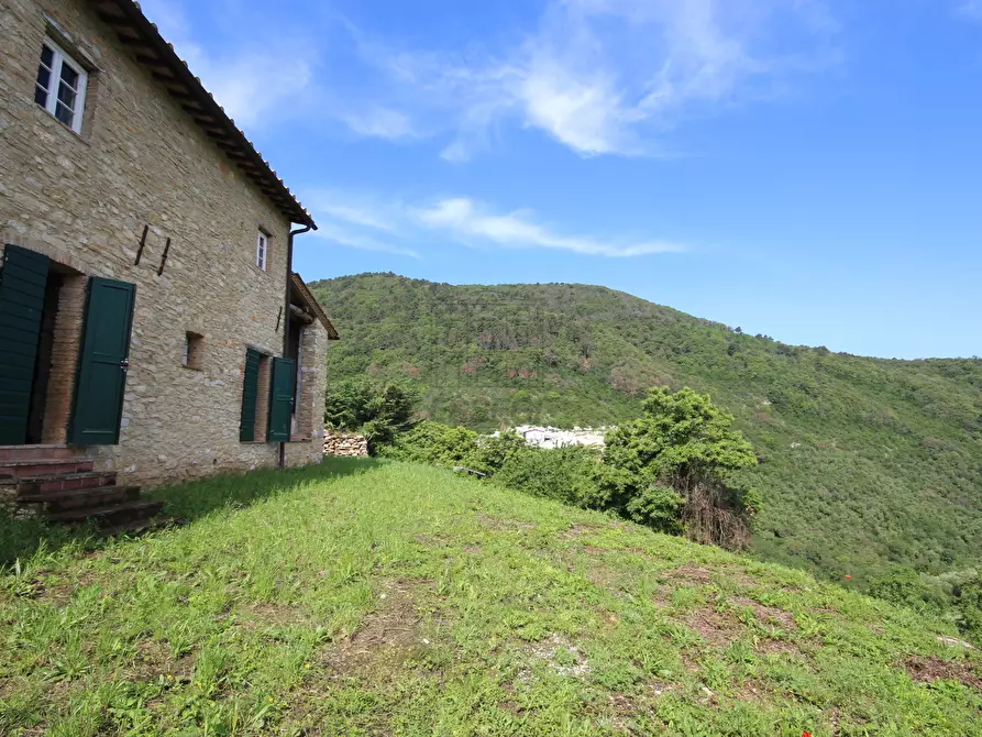 Immagine 6 di Rustico / casale in vendita  in Via del Cimitero di Vicopelago a Lucca