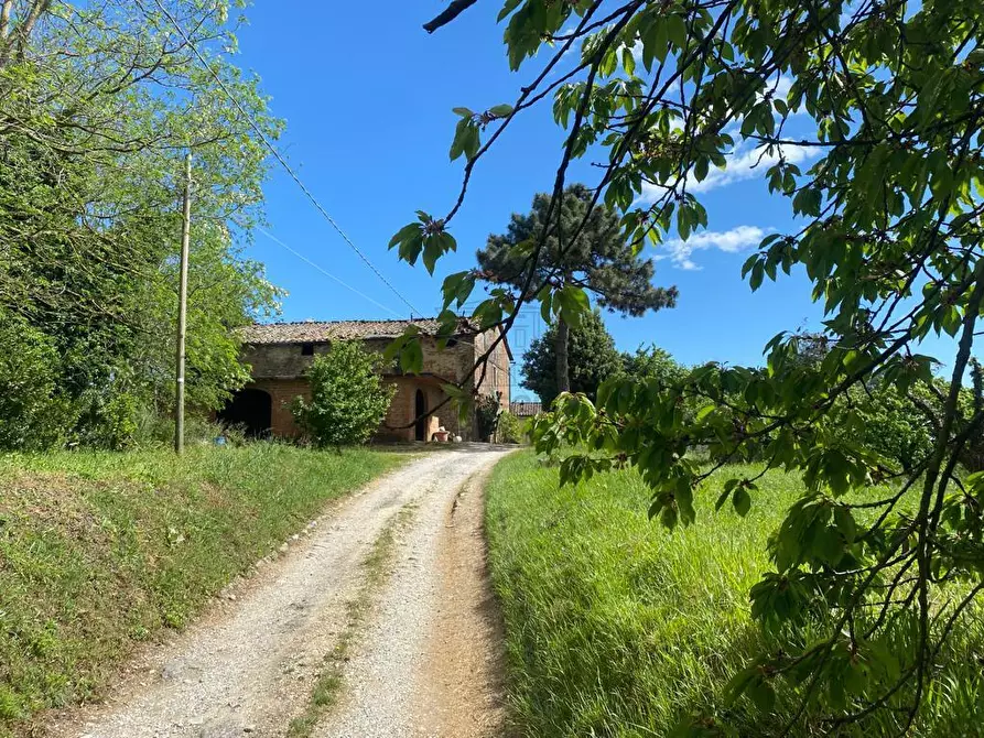 Immagine 8 di Rustico / casale in vendita  in Via di Palmata 425 a Lucca