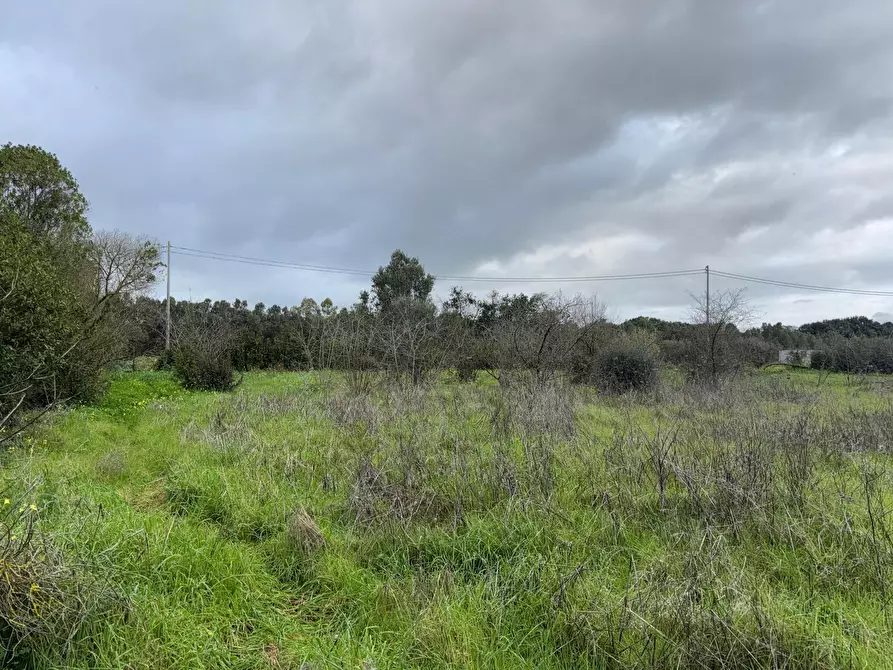 Immagine 4 di Terreno agricolo in vendita  a San Sperate