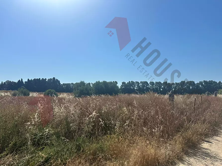 Immagine 2 di Terreno agricolo in vendita  a Quartu Sant'elena