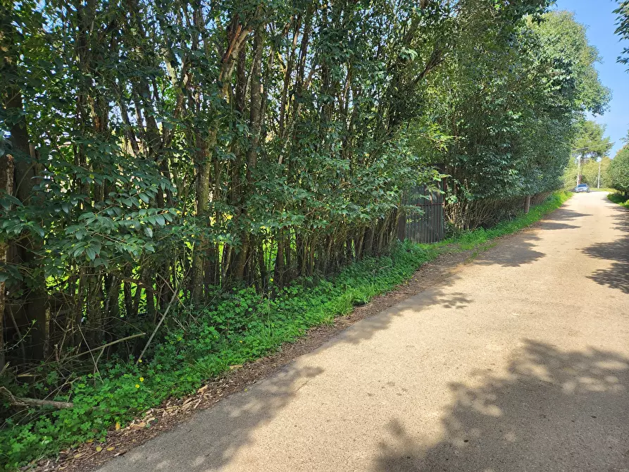 Immagine 3 di Terreno agricolo in vendita  a San Sperate