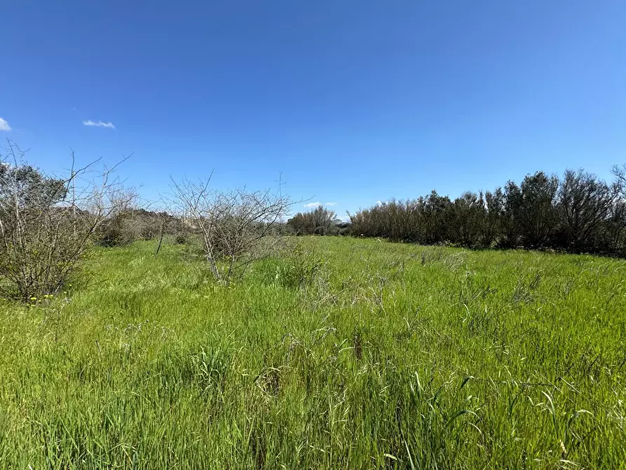 Immagine 2 di Terreno agricolo in vendita  a San Sperate