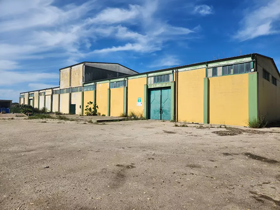 Immagine 21 di Casa indipendente in vendita  a Villasor