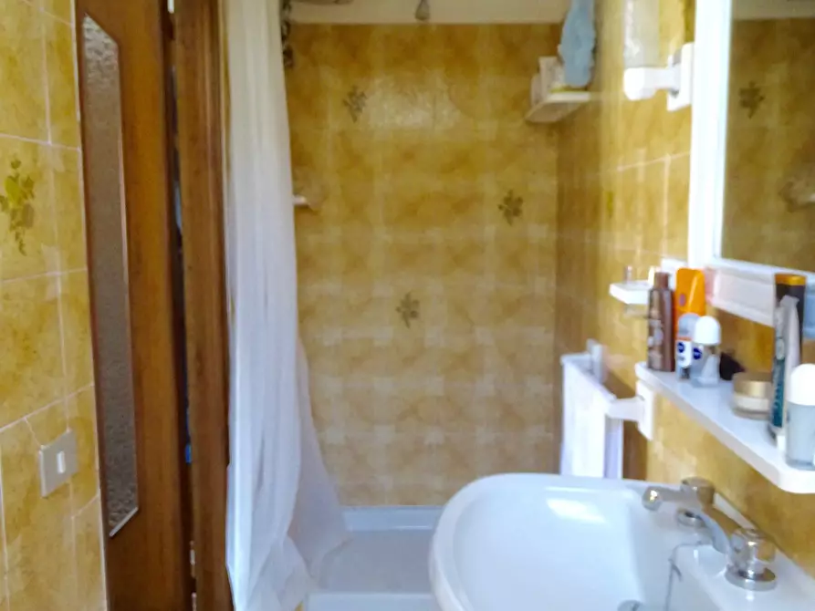 Immagine 7 di Mansarda in vendita  a Ameglia