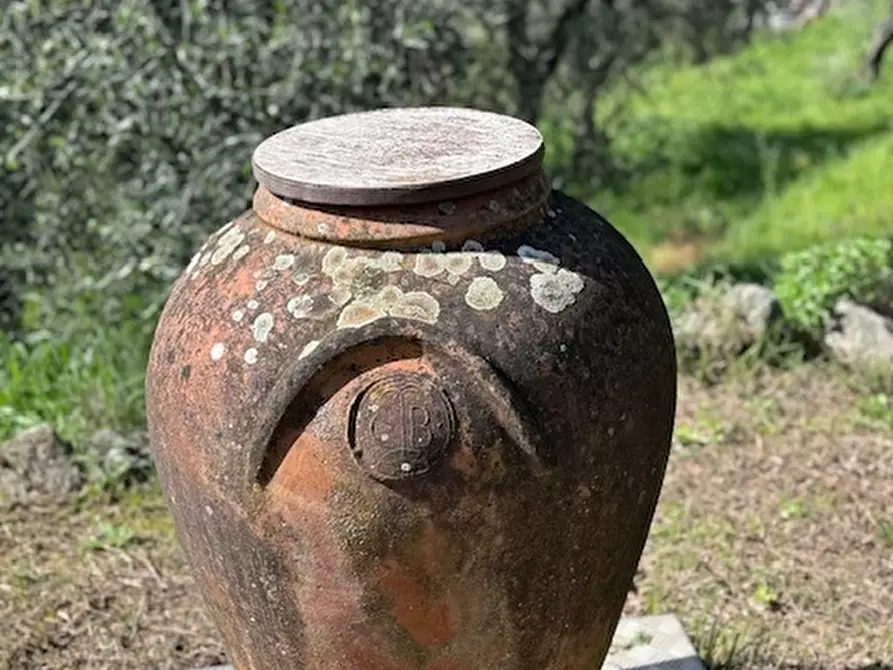 Immagine 17 di Casa trifamiliare in vendita  a Arcola