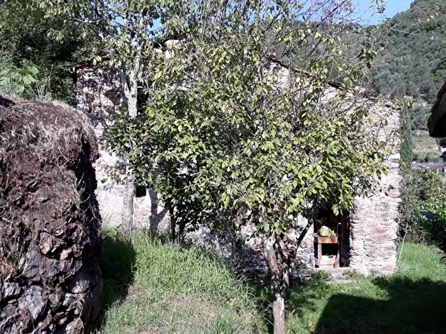 Immagine 2 di Casa indipendente in vendita  a Ameglia