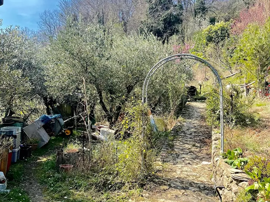 Immagine 7 di Casa trifamiliare in vendita  a Tresana