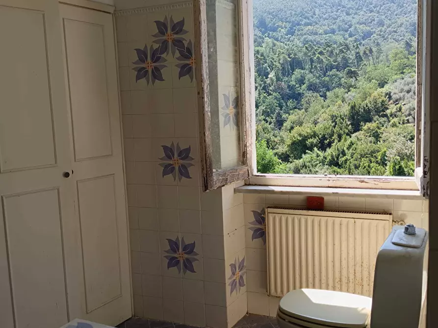 Immagine 28 di Terratetto in vendita  a Ameglia