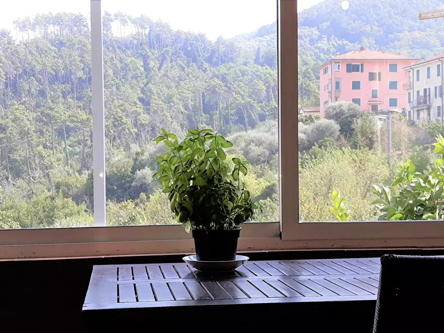 Immagine 3 di Casa indipendente in vendita  a Ameglia