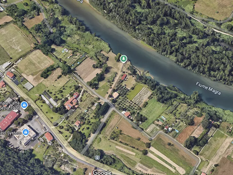 Immagine 3 di Terreno agricolo in vendita  a Arcola