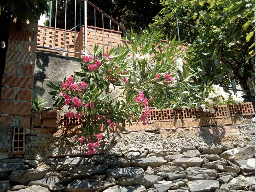 Immagine 1 di Casa indipendente in vendita  a Ameglia