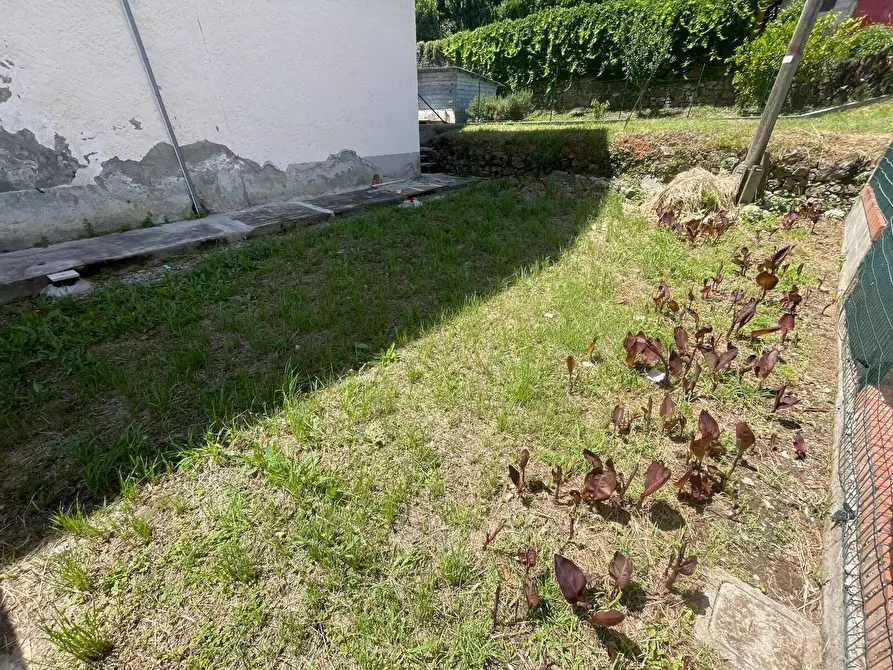 Immagine 6 di Casa semindipendente in vendita  a Ameglia