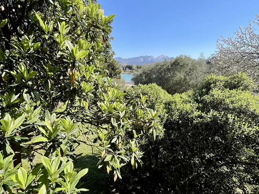 Immagine 25 di Casa semindipendente in vendita  a Ameglia