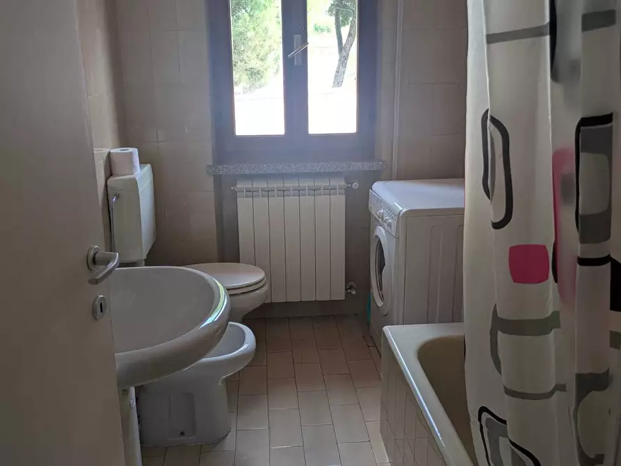 Immagine 13 di Casa semindipendente in affitto  a Carrara