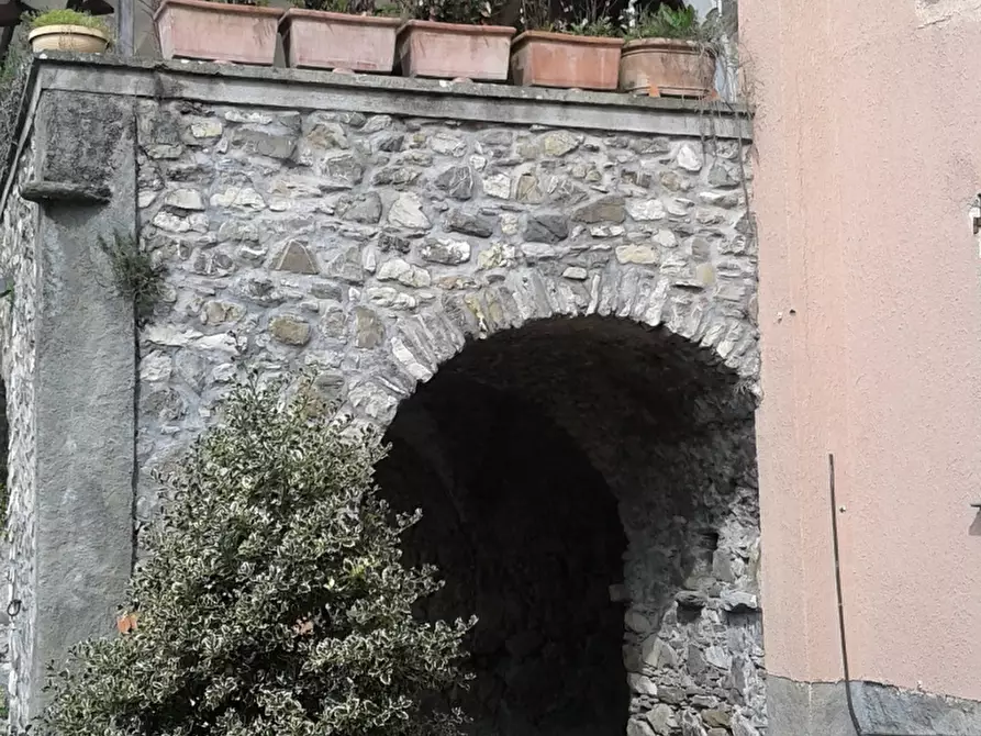 Immagine 20 di Terratetto in vendita  in LOCALITA' RIZZOLA a Bolano