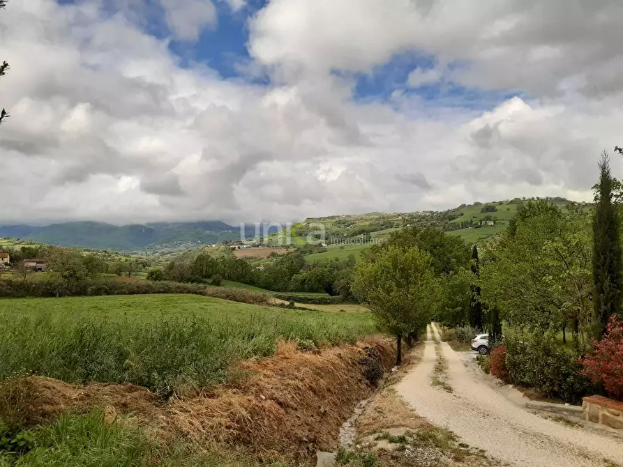 Immagine 4 di Casa indipendente in vendita  in via Barchio 2 a Cupramontana