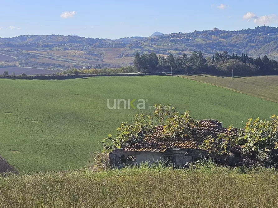Immagine 4 di Casa indipendente in vendita  in Contrada Costa snc a Montecarotto
