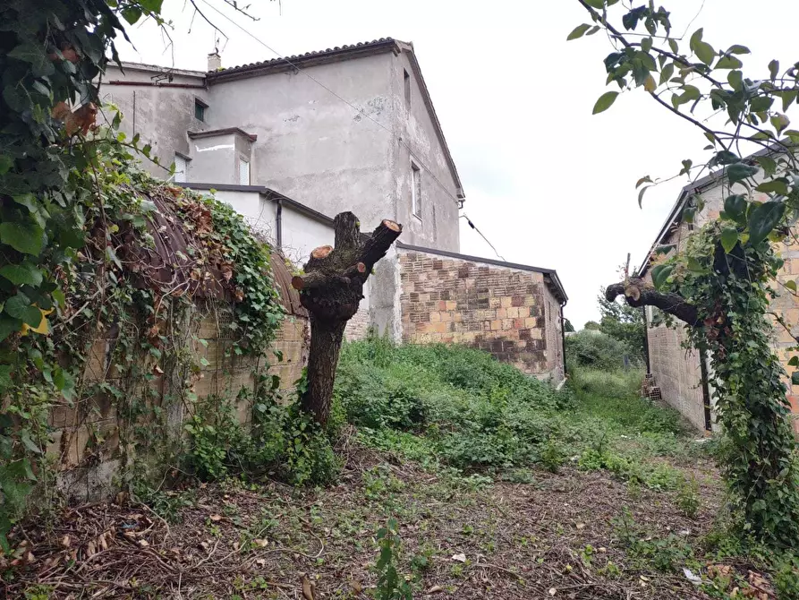 Immagine 28 di Casa indipendente in vendita  a Morro D'alba