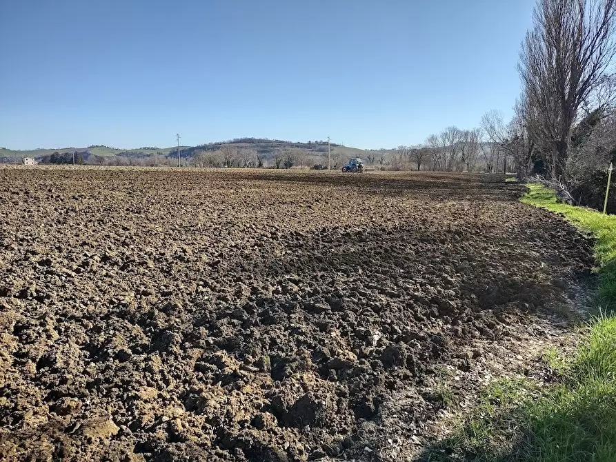 Immagine 8 di Terreno agricolo in vendita  a Jesi