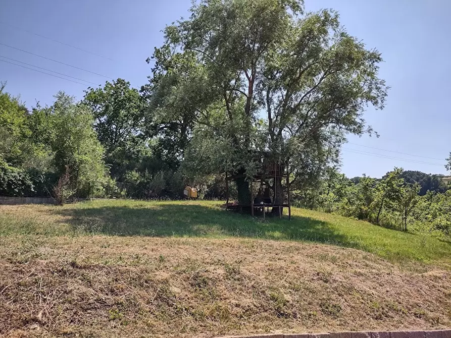 Immagine 22 di Casa indipendente in vendita  in Via Palazzi 8 a Cupramontana