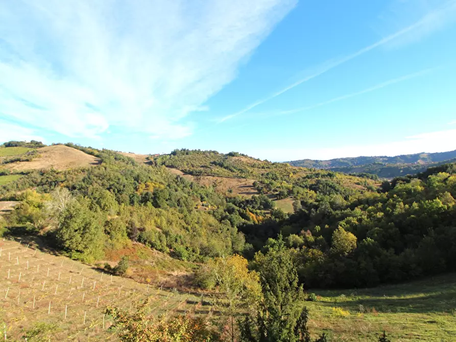 Immagine 60 di Casa indipendente in vendita  in Via Campomaggiore a Valsamoggia