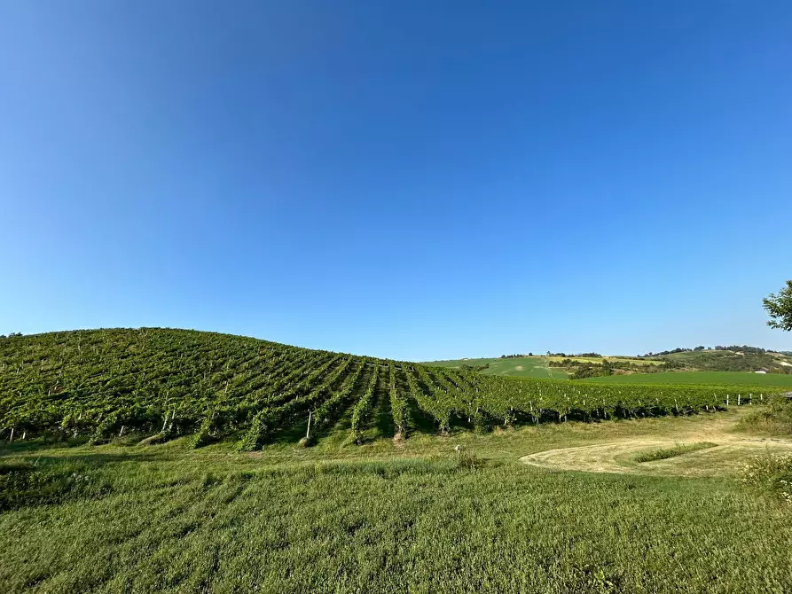 Immagine 19 di Porzione di casa in vendita  in Via Barlete a Valsamoggia